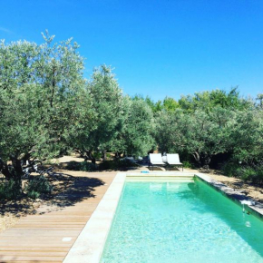 La Matina Architect house experience